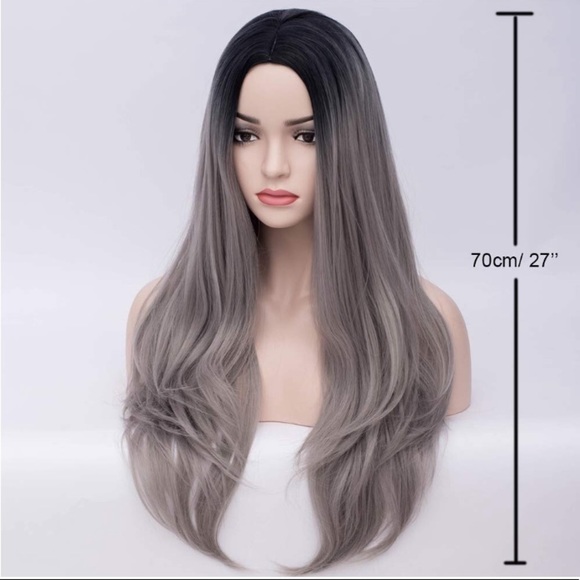 ?Moy 27”Grey Middle part Mix Wig *NWT*? main image 2